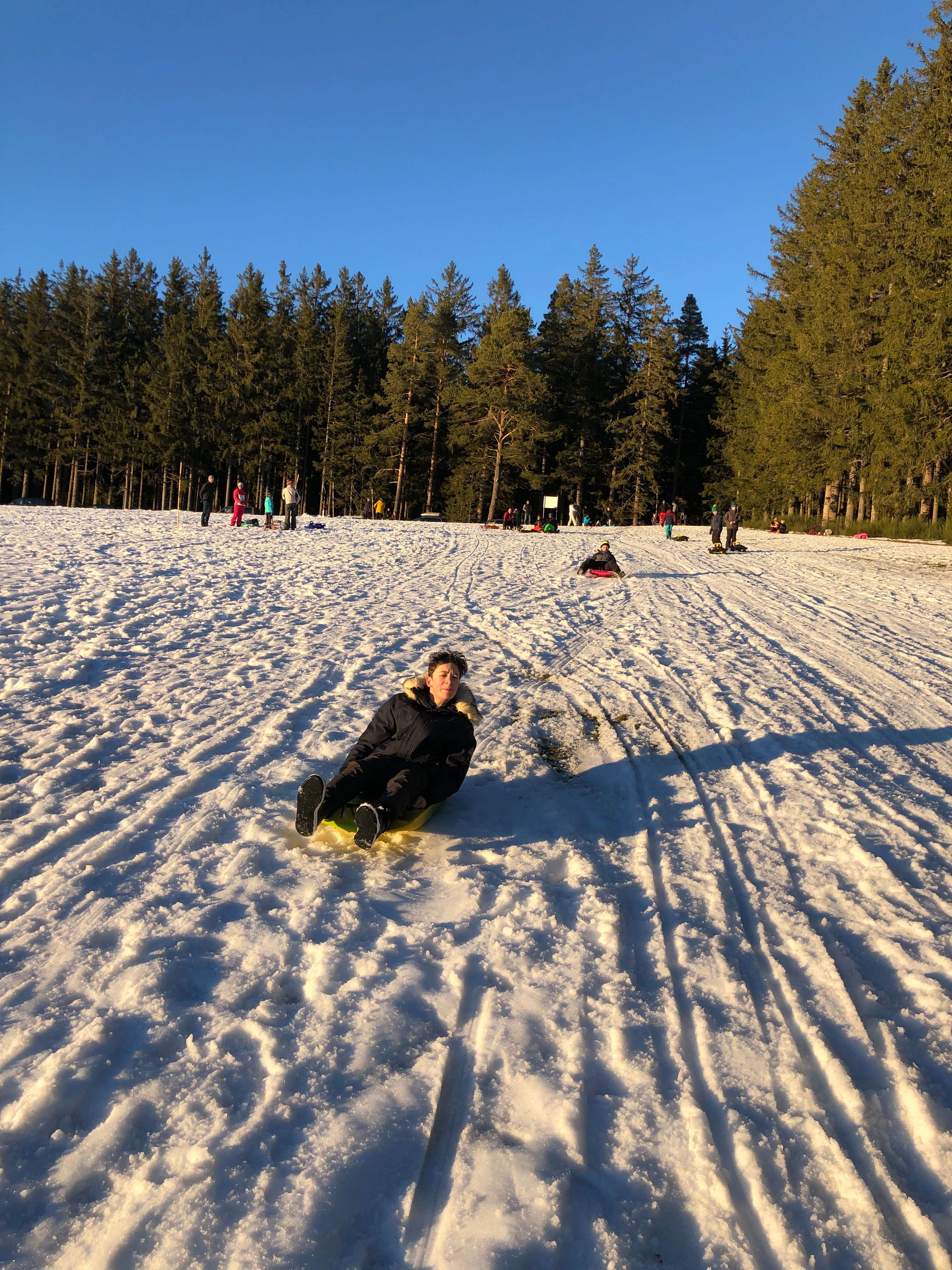 YOLO Snow Sledge