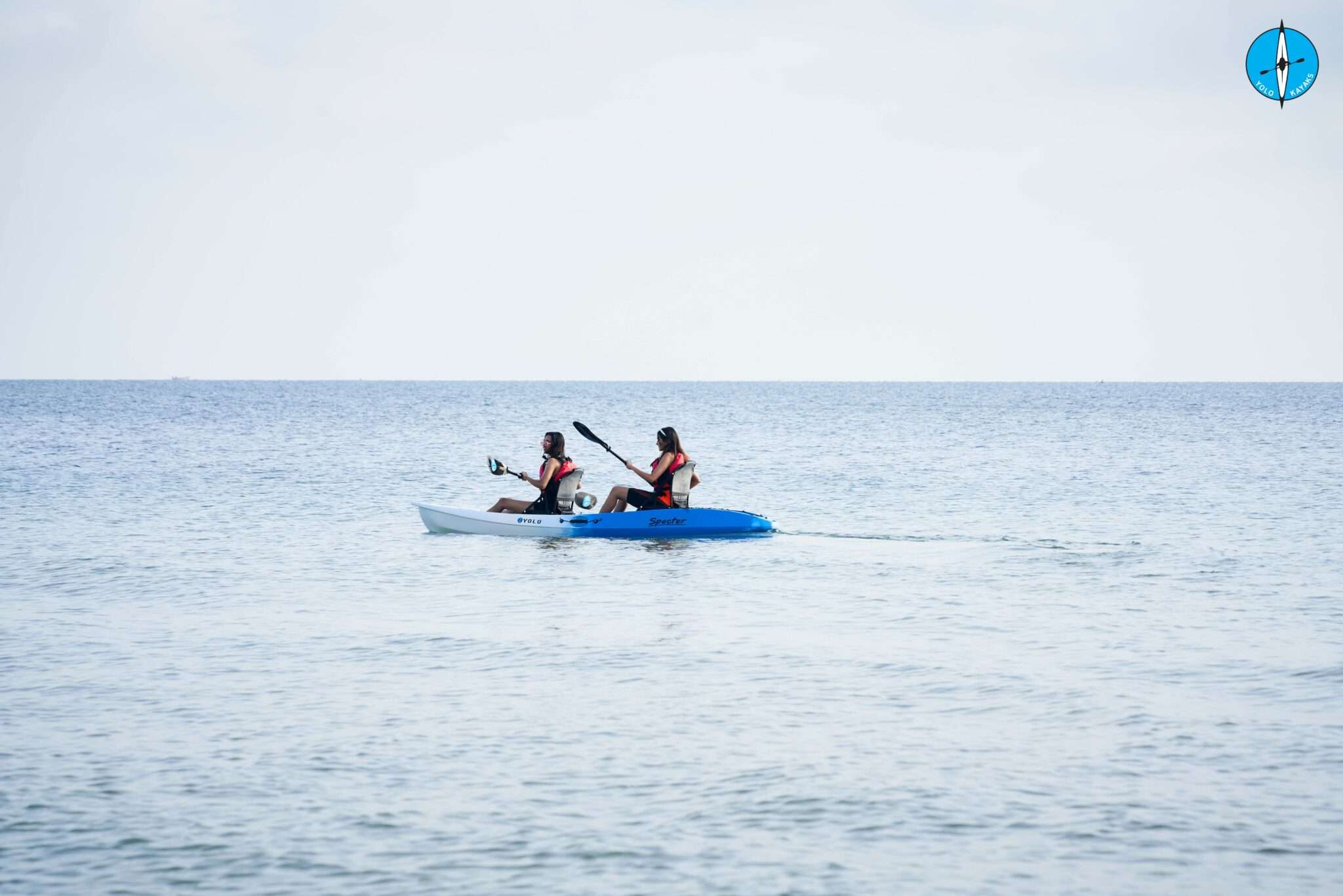 SPECTER (TWO SEATER) image 3