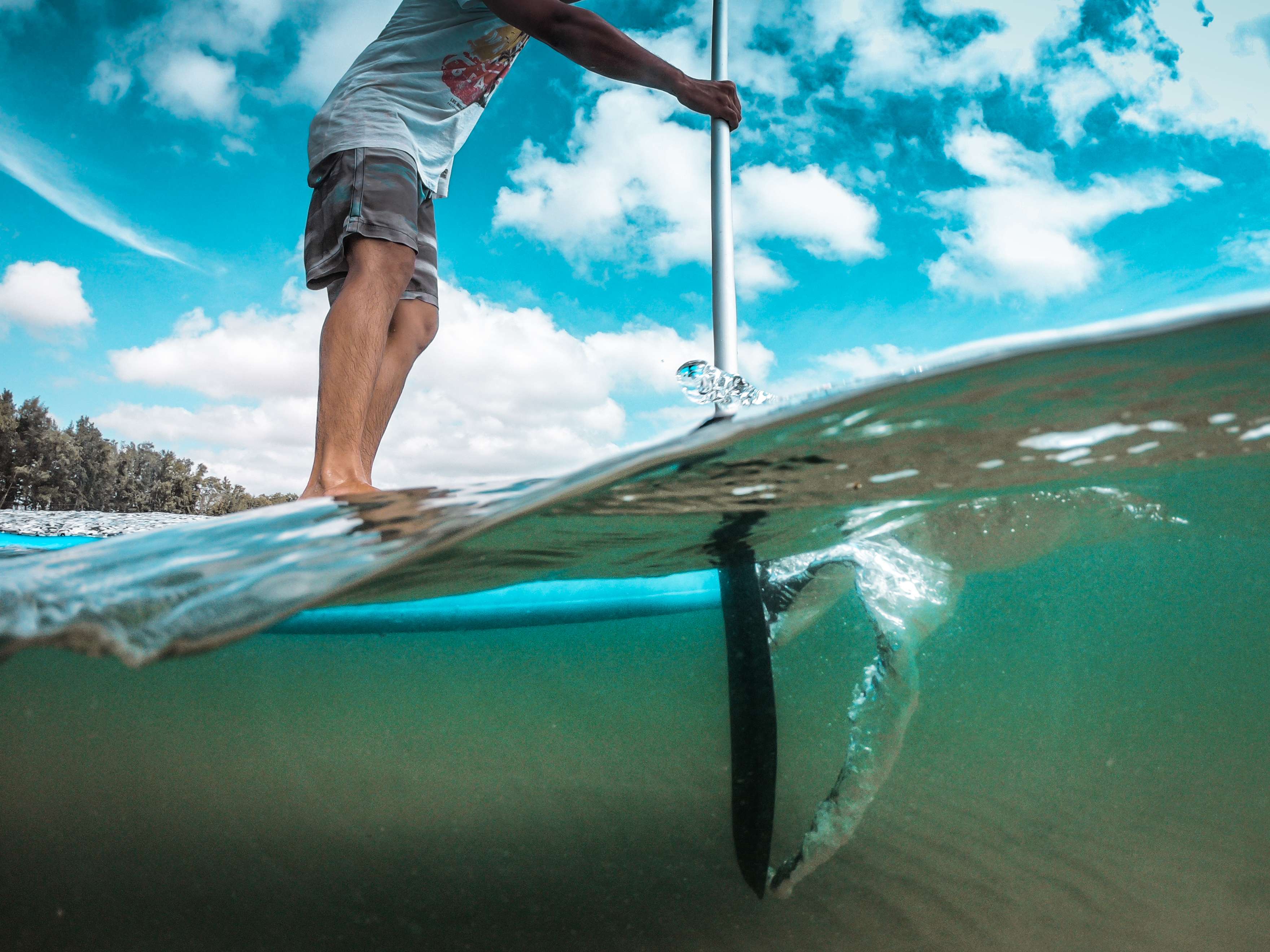 SUP image 5