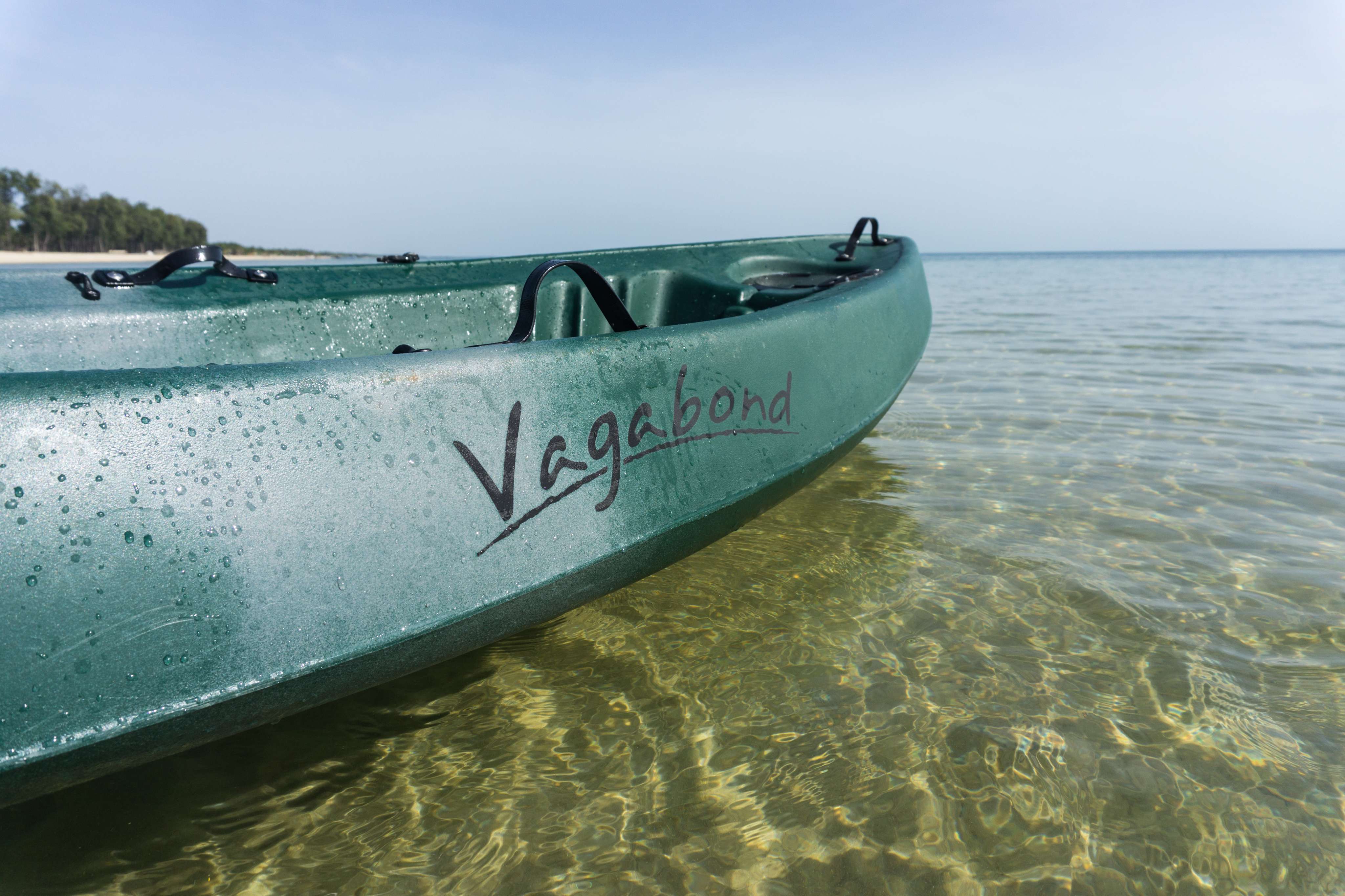 VAGABOND image 2