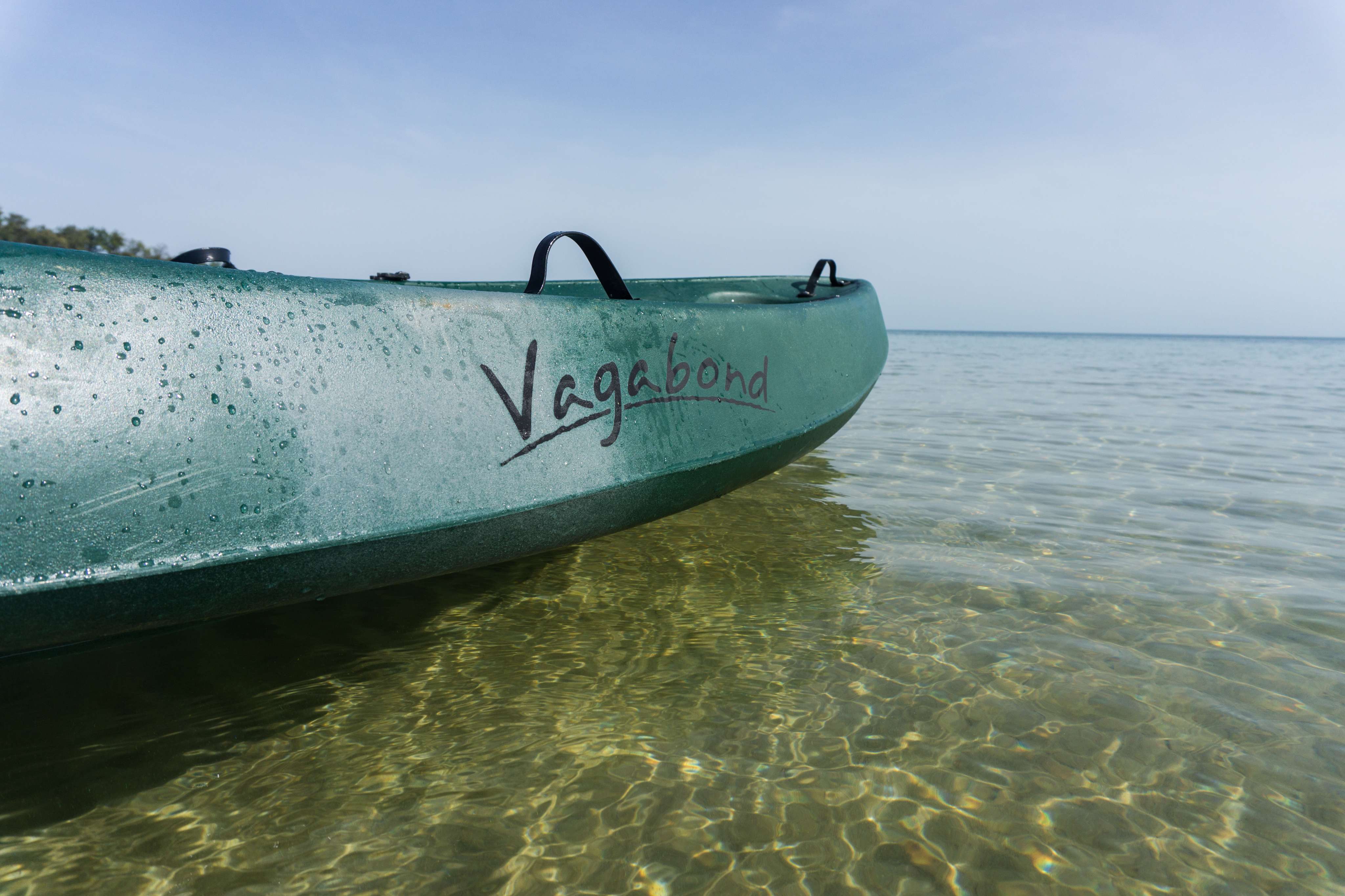 VAGABOND image 3