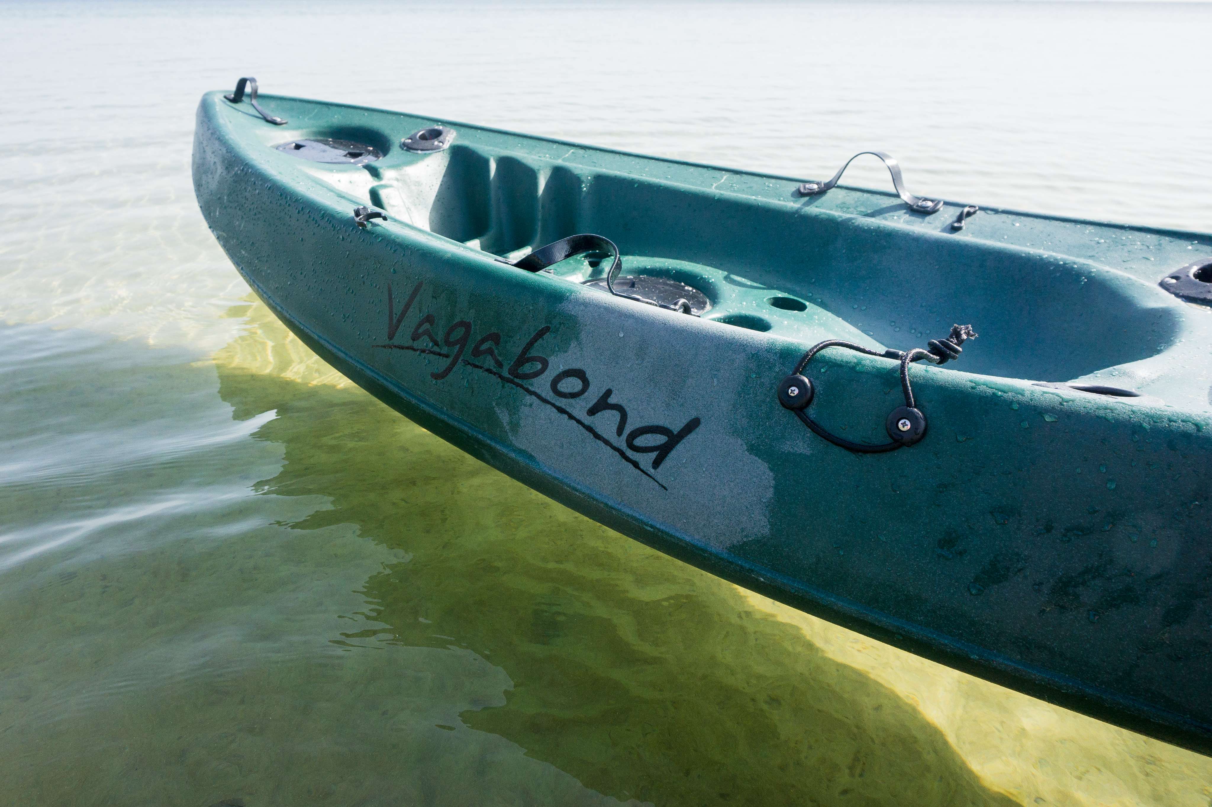 VAGABOND image 4