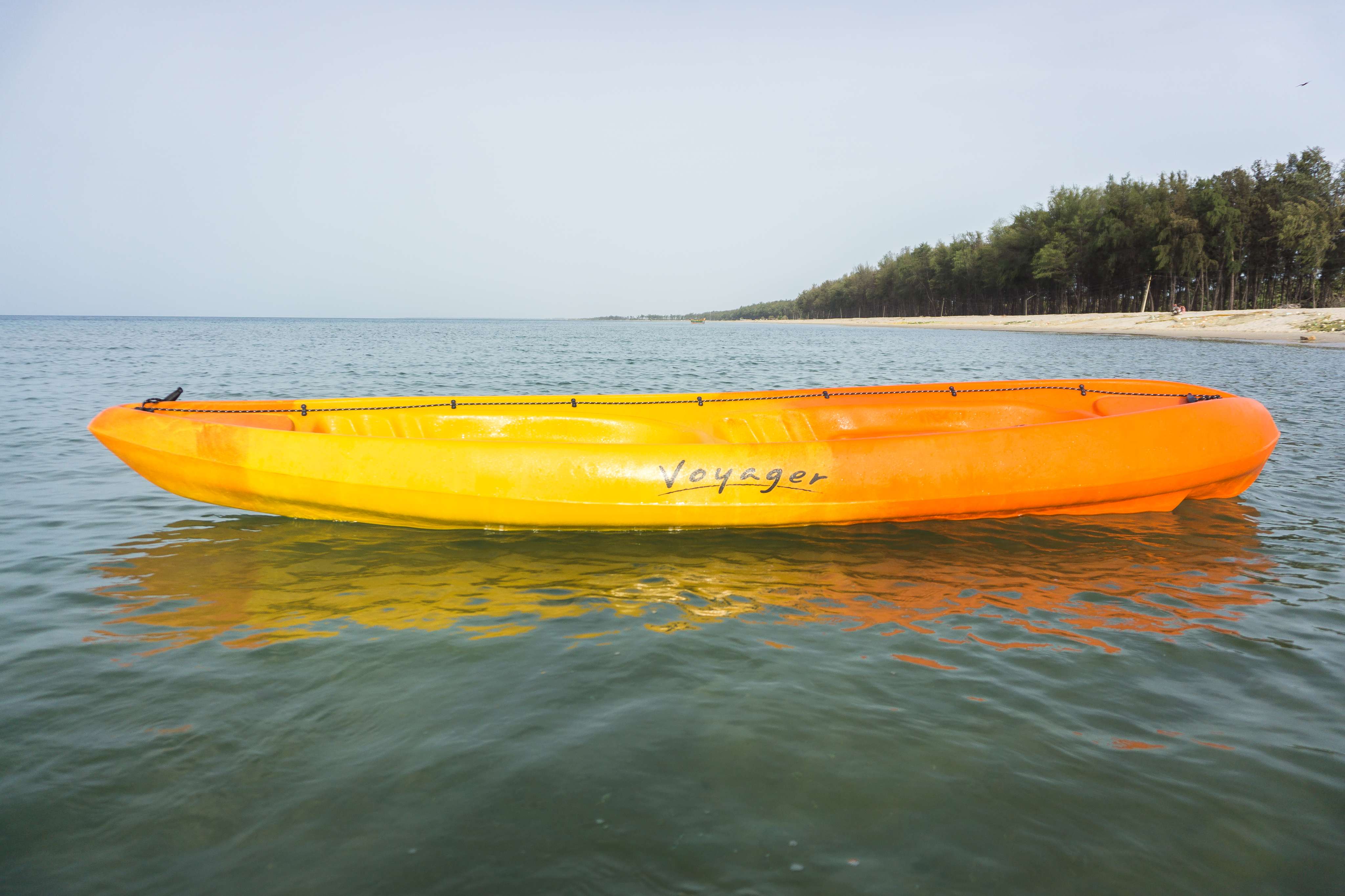 VOYAGER (TWO SEATER) image 6